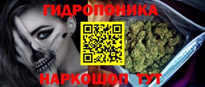 прущие крисы Пенза