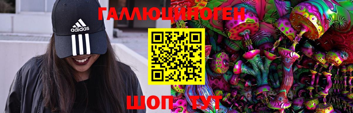 ГАШИШ  Кокаин  A PVP СК кристаллы  Меф МЯУ МЯУ кристаллы  Свободный  Марихуана  Вход с VPN  Гашиш 