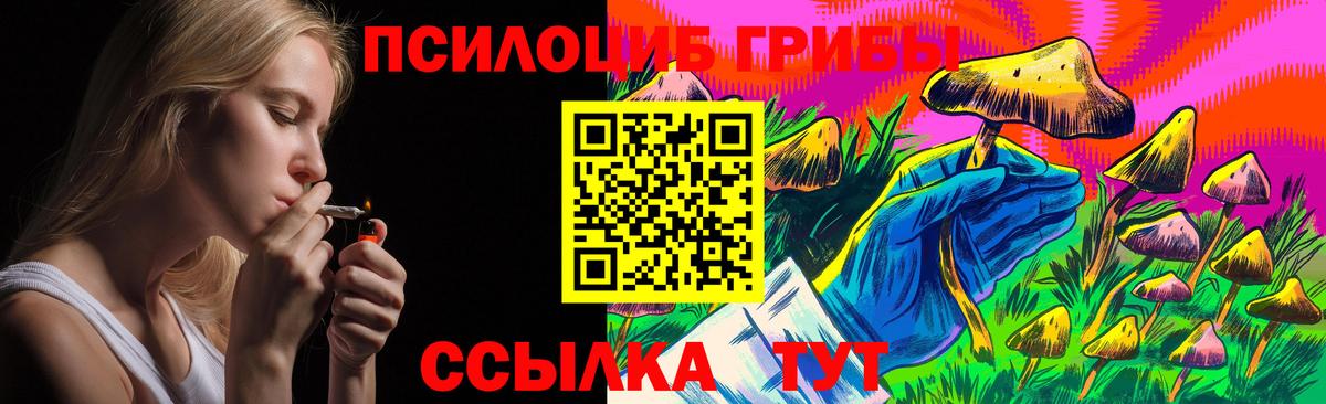 Свободный  Псилоцибиновые грибы GOLDEN TEACHER  Вход с VPN 